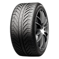 Michelin Pilot Sport A/S Plus (V) 255/45R19 100V