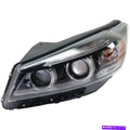Maxzone Vehicle Lighting Corp headlights