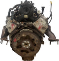 HEAD