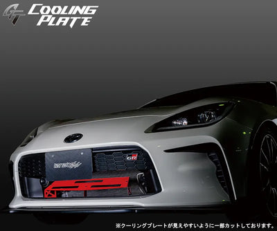 Tanabe auto part