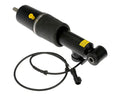 Dorman shock absorber