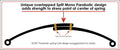 Calvert Split Mono Leafsprings pair -2in Drop 95-04 Chevrolet S10 Blazer ONLY