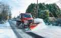 SALTDOGG 10 FT. X 38 IN. ELECTRIC CHAIN 304 STAINLESS STEEL SPREADER