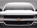 T-Rex Grilles auto part detail