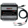 48V/18A PORTABLE EAGLE GOLF CART CHARGER; LITHIUM COMPATIBLE