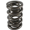 PACALOY SOLID ROLLER SPRING 1.550 O