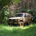 S/SWAMP 34X9.50-15