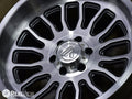 WORKHORSE 20X10 8X180.00 TITANIUM-B