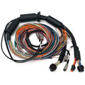 Haltech NEXUS R3 Universal Wire-In Harness - 2.5M (8ft)