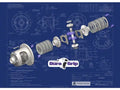 Yukon Gear Dura Grip For Ford 7.5in