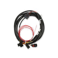 DBW (DRIVE-BY-WIRE) THROTTLE BODY H