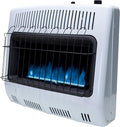 VENT-FREE BLUE FLAME PROPANE HEATER