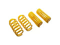 ST Lowering Springs 2015+ Ford Mustang (S-550) incl. Facelift V8 w/ Electronic Suspension