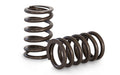 Kelford Cams springs detail
