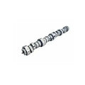LSR Rect Port 235/251 H-Rlr Cam GM LS