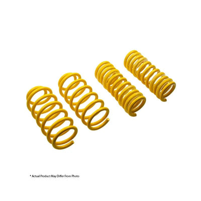 Suspension Techniques springs