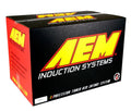 AEM silver induction system