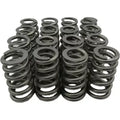 ~(3 lbs. 12X6X3)~ HD 7.3 Valve Spring AND Retainer