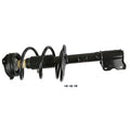 STRUT AND COIL SPRING ASSEMBLY