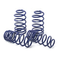 H&R springs