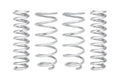 Eibach springs