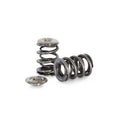 Kelford Dual Spring and Ti Retainer SUBARU FA20F WRX 2015