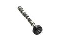 ENGINE - CAMSHAFT