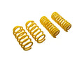 ST Lowering Springs Ford Mustang Ecoboost 2.3T