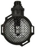 MASS AIR FLOW