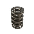 1.539 Dual Valve Springs (16)