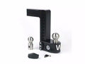 Weigh Safe auto part