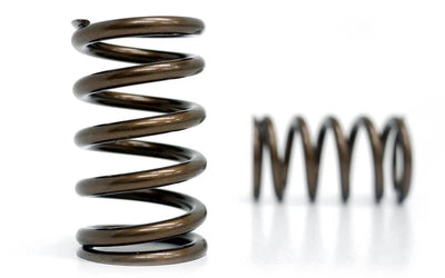 Kelford Cams springs