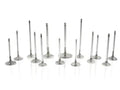 BBC H/S 1.880 Exhaust Valves 11/32 5.450