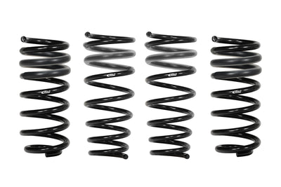 Eibach auto part