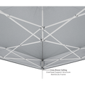 EZ UP VANTAGE INSTANT SHELTER 10FT BY 10FT