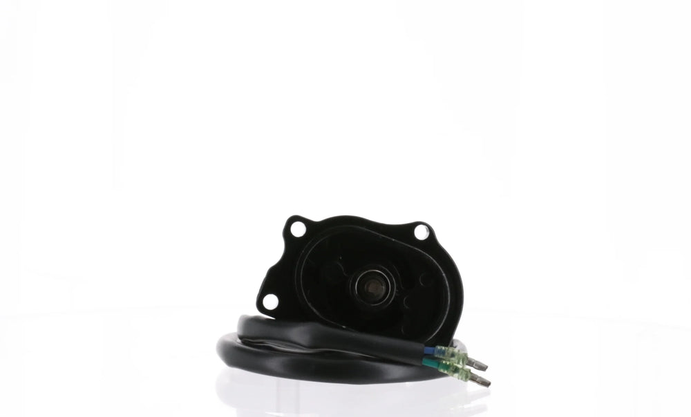 TILT MOTOR