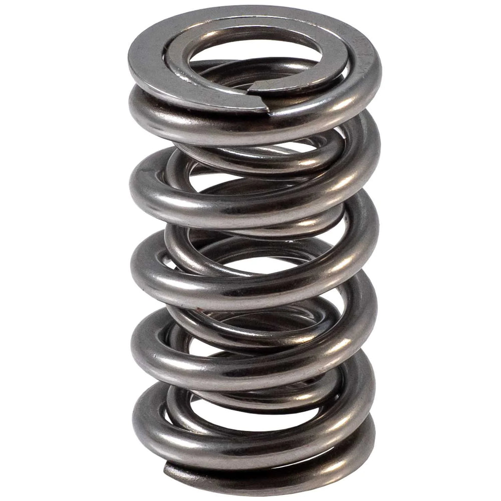 VALVE SPRING KIT