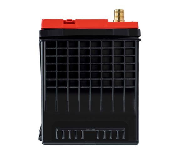 Odyssey Battery Auto/Truck Performance AGM Battery (ELT-AGM24F)