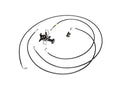 Chase Bays 02-08 Nissan 350Z Single Piston Brake Booster Delete Brake Line Relocation