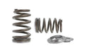 Kelford Cams springs