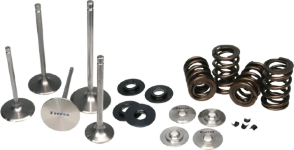 Ferrea 02-03 Harley-Davidson VRSCA V Rod Valve Spring Kit