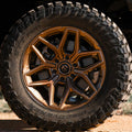 D854 22X12 8X6.5 PLT-BRZ -44MM
