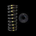 Brian Crower Honda NSX C30A/C32B Dual Spring / Steel Retainer / Seat Kit