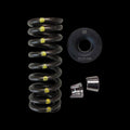Brian Crower Honda NSX C30A/C32B Dual Spring / Steel Retainer / Seat Kit