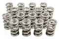 PAC RACING SPRINGS springs