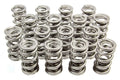 PAC RACING SPRINGS springs