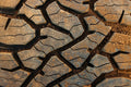 BFGoodrich - 11181