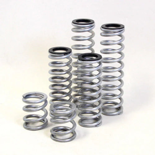 RZR 900 FOX SPRING KIT - HEAVY DUTY