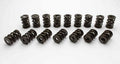 1.610 NexTek Dual Valve Springs