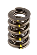 PACALOY SOLID ROLLER SPRING 1.550 O
